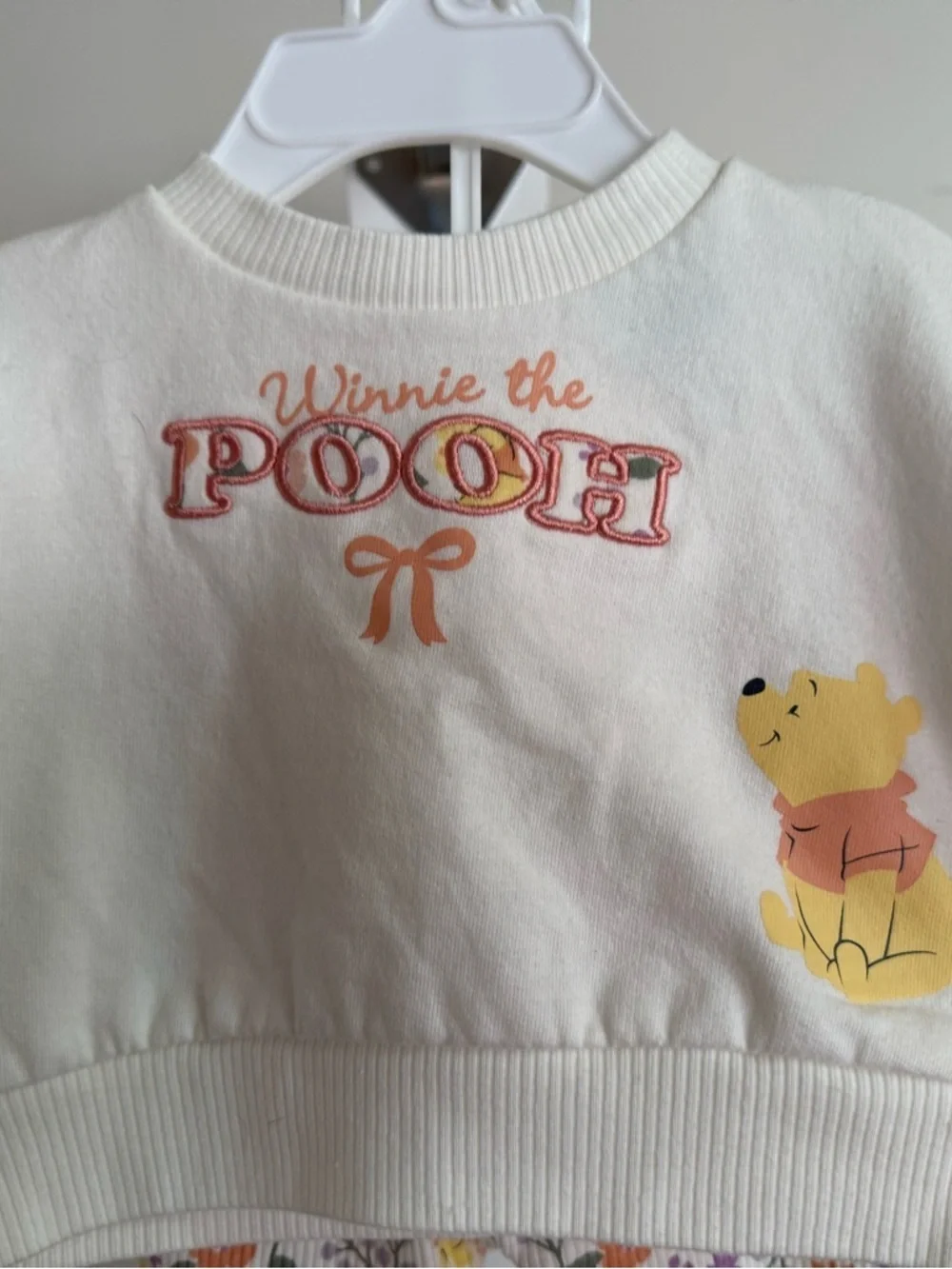 Disney Winnie the Pooh Outfit